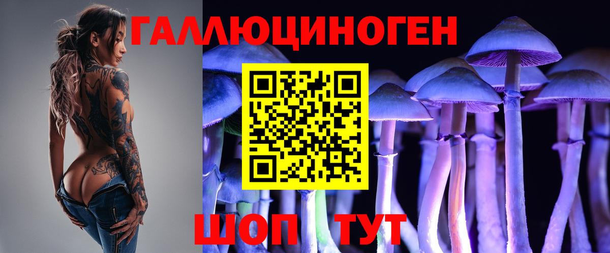Псилоцибиновые грибы Magic Shrooms Каменск-Уральский